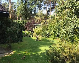 Unterkunft 374105 - Ferienhaus Midden Limburg - Vakantiehuisje in Meijel