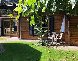 Unterkunft 374105 - Ferienhaus Midden Limburg - Vakantiehuisje in Meijel