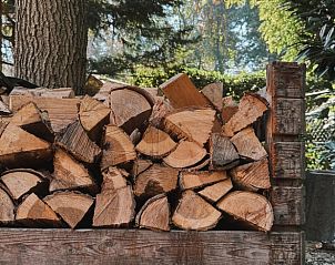 Unterkunft 374125 - Ferienhaus Midden Limburg - Vakantiehuis in Meijel