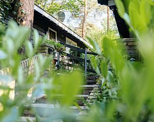 Unterkunft 374129 - Ferienhaus Midden Limburg - Huisje in Meijel