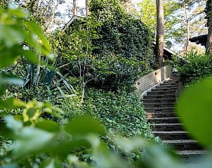 Unterkunft 374129 - Ferienhaus Midden Limburg - Huisje in Meijel