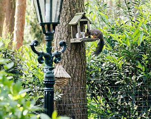 Unterkunft 374129 - Ferienhaus Midden Limburg - Huisje in Meijel