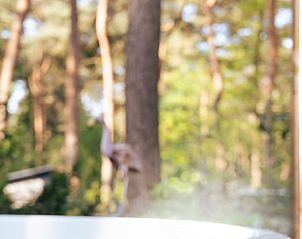 Unterkunft 374129 - Ferienhaus Midden Limburg - Huisje in Meijel