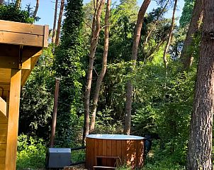 Verblijf 374132 - Vakantiewoning Midden Limburg - Boshuisje Eden