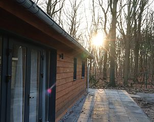 Unterkunft 374136 - Ferienhaus Midden Limburg - L468