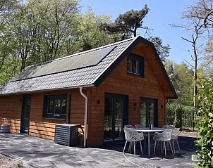 Unterkunft 374137 - Ferienhaus Midden Limburg - L466