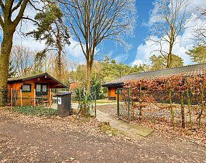 Unterkunft 374141 - Ferienhaus Midden Limburg - Stille WIlle Nr B126