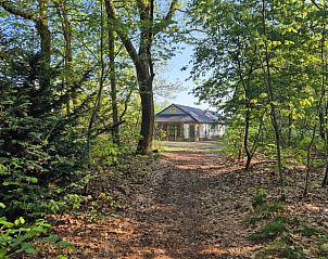 Guest house 374210 • Holiday property Midden Limburg • Vakantiehuis in Nederweert-Eind 
