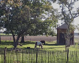 Unterkunft 374211 - Ferienhaus Midden Limburg - Vakantiehuisje in Nederweert_Eind