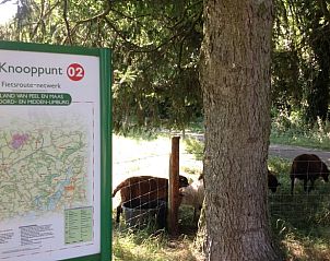 Unterkunft 374211 - Ferienhaus Midden Limburg - Vakantiehuisje in Nederweert_Eind