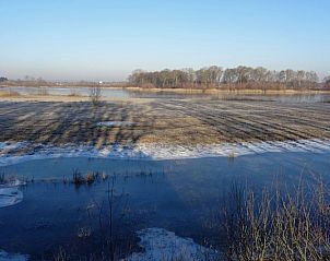 Unterkunft 374211 - Ferienhaus Midden Limburg - Vakantiehuisje in Nederweert_Eind