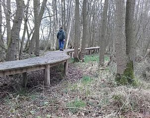 Unterkunft 374211 - Ferienhaus Midden Limburg - Vakantiehuisje in Nederweert_Eind