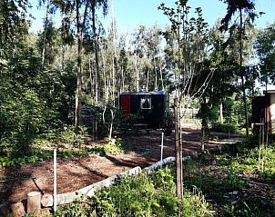 Unterkunft 374212 - Ferienhaus Midden Limburg - Vakantiehuis in Nederweert Eind