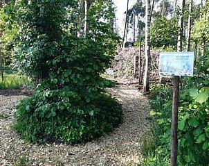 Unterkunft 374212 - Ferienhaus Midden Limburg - Vakantiehuis in Nederweert Eind