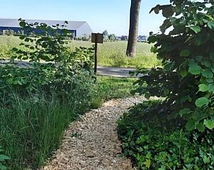 Unterkunft 374212 - Ferienhaus Midden Limburg - Vakantiehuis in Nederweert Eind