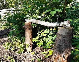 Unterkunft 374212 - Ferienhaus Midden Limburg - Vakantiehuis in Nederweert Eind