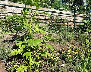 Unterkunft 374212 - Ferienhaus Midden Limburg - Vakantiehuis in Nederweert Eind