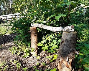 Unterkunft 374213 - Ferienhaus Midden Limburg - Vakantiehuisje in Nederweert Eind