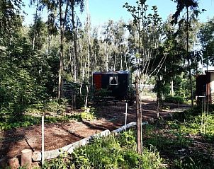 Unterkunft 374213 - Ferienhaus Midden Limburg - Vakantiehuisje in Nederweert Eind