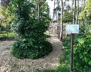 Unterkunft 374213 - Ferienhaus Midden Limburg - Vakantiehuisje in Nederweert Eind