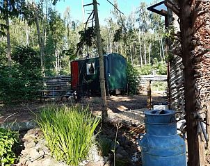 Unterkunft 374213 - Ferienhaus Midden Limburg - Vakantiehuisje in Nederweert Eind