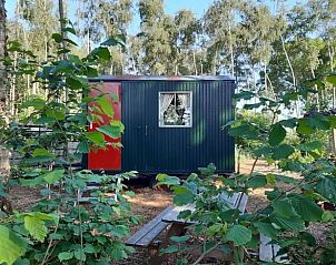 Unterkunft 374213 - Ferienhaus Midden Limburg - Vakantiehuisje in Nederweert Eind