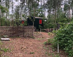 Unterkunft 374213 - Ferienhaus Midden Limburg - Vakantiehuisje in Nederweert Eind
