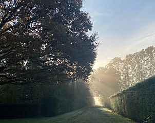 Unterkunft 374701 - Ferienhaus Midden Limburg - Huisje in Kelpen-Oler