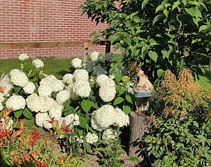 Unterkunft 374702 - Ferienhaus Midden Limburg - Huisje in Kelpen-Oler