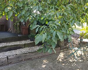 Unterkunft 374702 - Ferienhaus Midden Limburg - Huisje in Kelpen-Oler