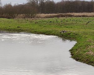 Unterkunft 374702 - Ferienhaus Midden Limburg - Huisje in Kelpen-Oler