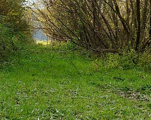 Unterkunft 374702 - Ferienhaus Midden Limburg - Huisje in Kelpen-Oler