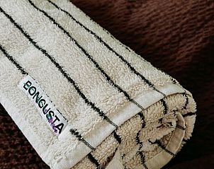 Unterkunft 374801 - Ferienhaus Midden Limburg - Vakantiehuis in Haelen