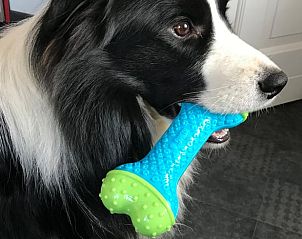 Unterkunft 375202 - Ferienhaus Midden Limburg - Vakantiehuis in Melick