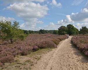 Unterkunft 375202 - Ferienhaus Midden Limburg - Vakantiehuis in Melick