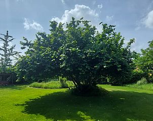 Unterkunft 380822 - Ferienhaus Noord Limburg - Vakantiehuisje in Well (L)