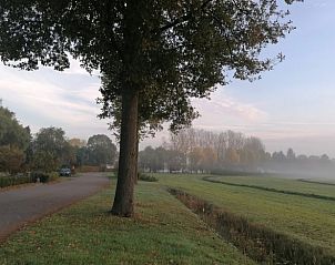 Unterkunft 380822 - Ferienhaus Noord Limburg - Vakantiehuisje in Well (L)