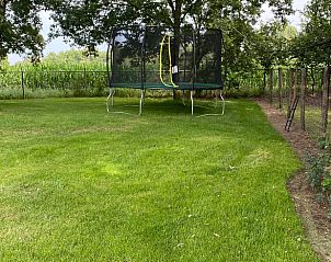 Verblijf 380847 - Vakantiewoning Noord Limburg - Huisje in Well