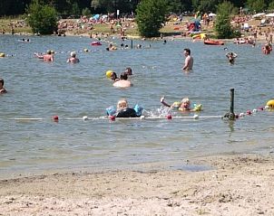 Swimming and relaxing at the lake at Chalet Pimpelmees / Huismus, Horst, North Limburg, surrounded by nature.