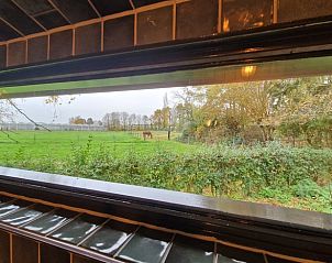 Unterkunft 382011 - Ferienhaus Noord Limburg - Vakantiehuisje in Velden