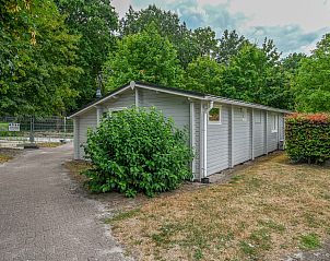 Guest house 3827108 - Chalet Noord Limburg - Chalet in Arcen