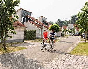 Guest house 3827119 - Chalet Noord Limburg - Chalet in Arcen