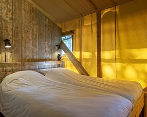 Unterkunft 3827126 - Zelthaus Noord Limburg - «Klein Vink 20»