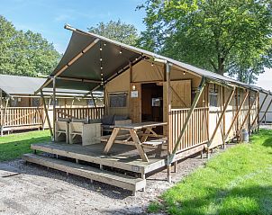 Unterkunft 3827126 - Zelthaus Noord Limburg - «Klein Vink 20»