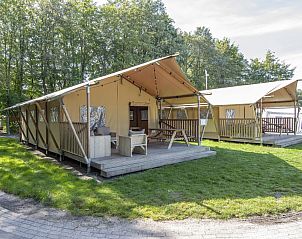 Unterkunft 3827127 - Zelthaus Noord Limburg - «Klein Vink 21»