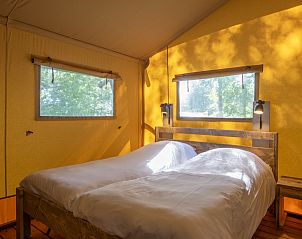 Unterkunft 3827127 - Zelthaus Noord Limburg - «Klein Vink 21»