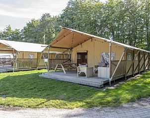 Unterkunft 3827127 - Zelthaus Noord Limburg - «Klein Vink 21»