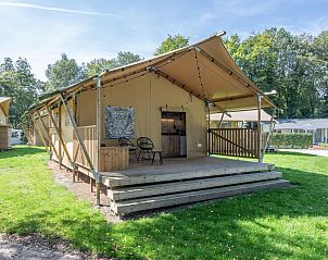 Unterkunft 3827128 - Zelthaus Noord Limburg - «Klein Vink 19»