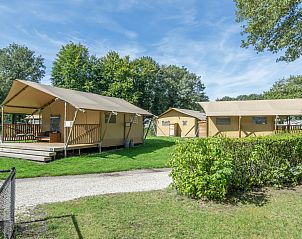 Unterkunft 3827128 - Zelthaus Noord Limburg - «Klein Vink 19»