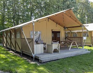 Unterkunft 3827135 - Zelthaus Noord Limburg - «Safaritent» 6B
